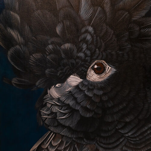 Painting of a black cockatoo