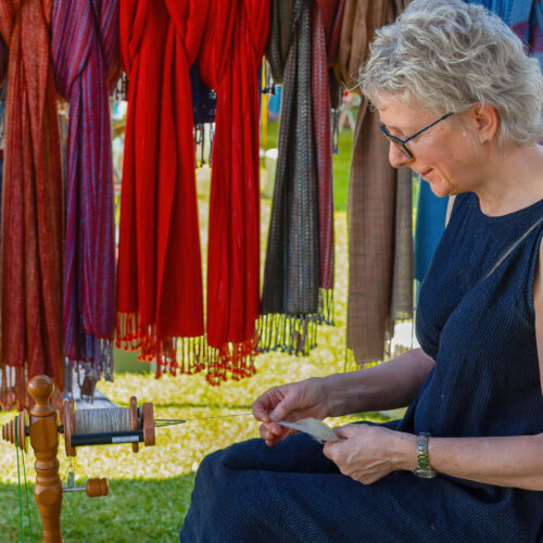 Lady at a stall at the Darlington Arts Festival