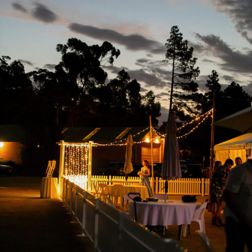 Night time at the Darlington Arts Festival